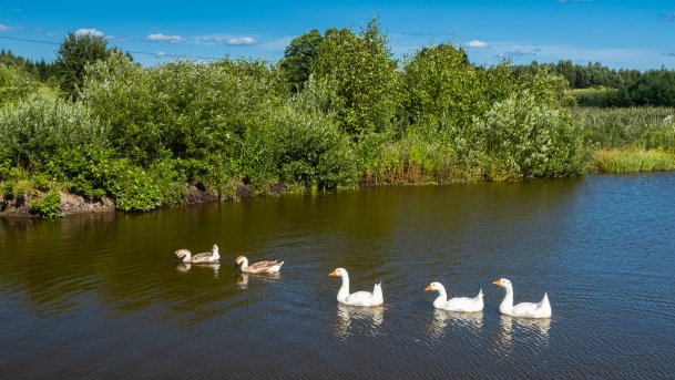 Gospodarstwo Eulalii - zdjęcie 18