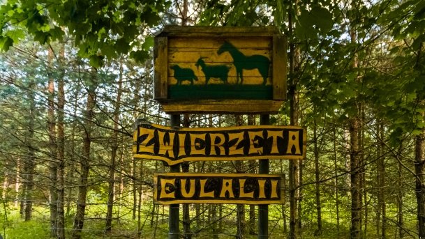 Gospodarstwo Eulalii - zdjęcie 16