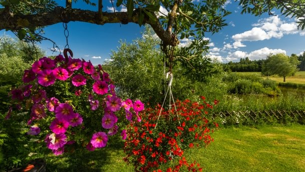 Gospodarstwo Eulalii - zdjęcie 14