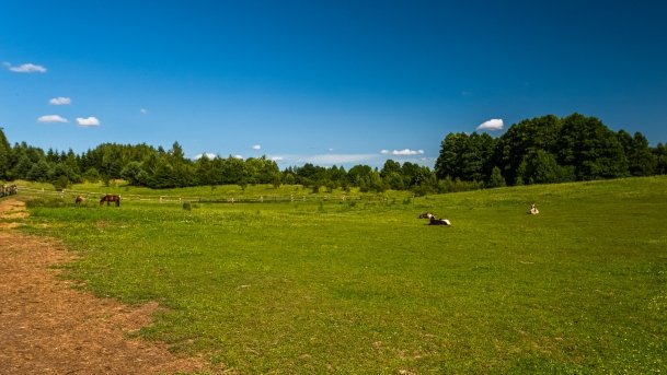 Gospodarstwo Eulalii - zdjęcie 11