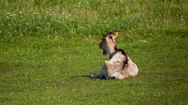 Gospodarstwo Eulalii - zdjęcie 8