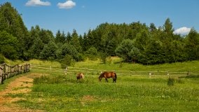 Gospodarstwo Eulalii