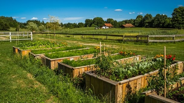 Gospodarstwo Eulalii - zdjęcie 3