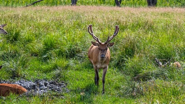 Zoo Safari - zdjęcie 57