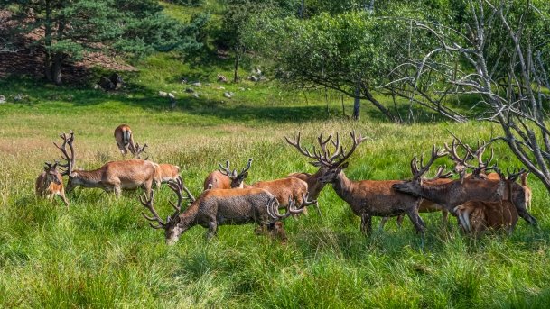 Zoo Safari - zdjęcie 50