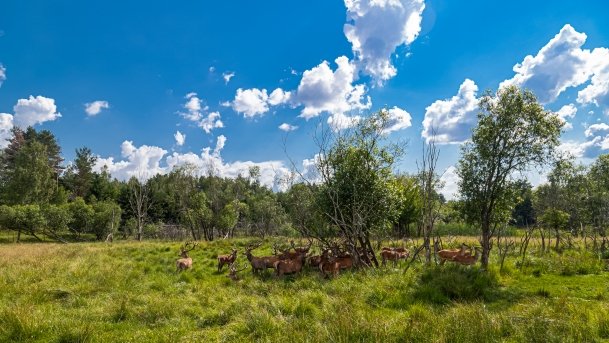 Zoo Safari - zdjęcie 38