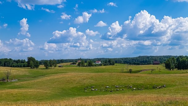 Zoo Safari - zdjęcie 32