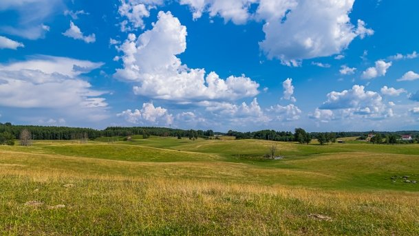 Zoo Safari - zdjęcie 30