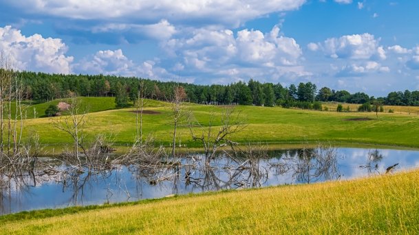 Zoo Safari - zdjęcie 26