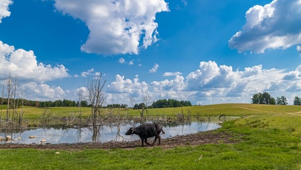 Zoo Safari - zdjęcie 23