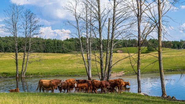 Zoo Safari - zdjęcie 21
