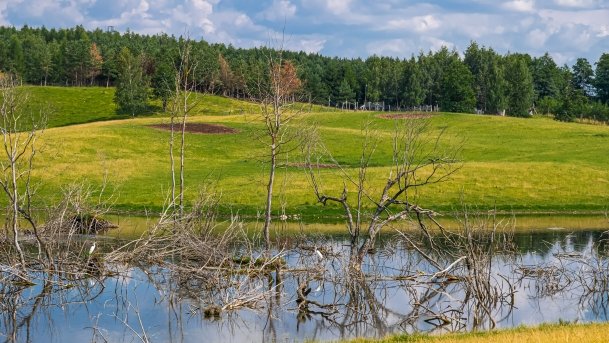 Zoo Safari - zdjęcie 20