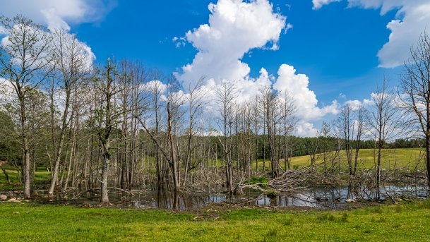 Zoo Safari - zdjęcie 18