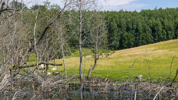 Zoo Safari - zdjęcie 17