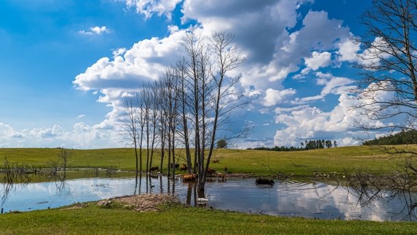 Zoo Safari - zdjęcie 8