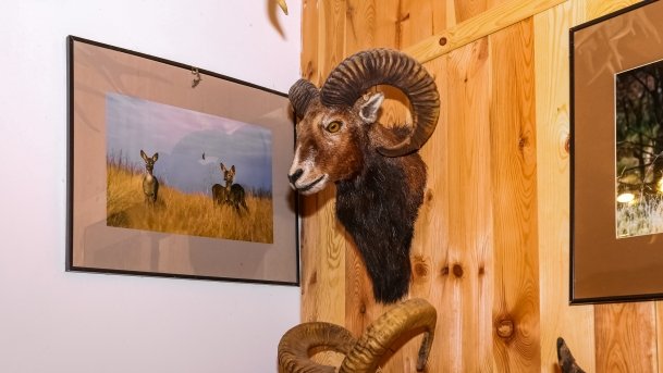 Stacja Badawcza Instytutu Parazytologii PAN - zdjęcie 15