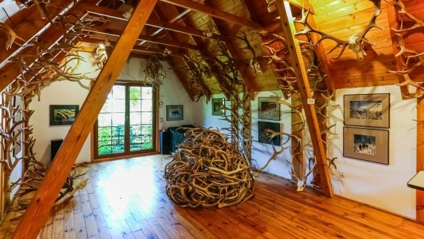 Stacja Badawcza Instytutu Parazytologii PAN - zdjęcie 14