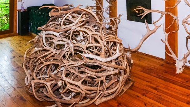 Stacja Badawcza Instytutu Parazytologii PAN - zdjęcie 12