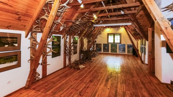 Stacja Badawcza Instytutu Parazytologii PAN - zdjęcie 10