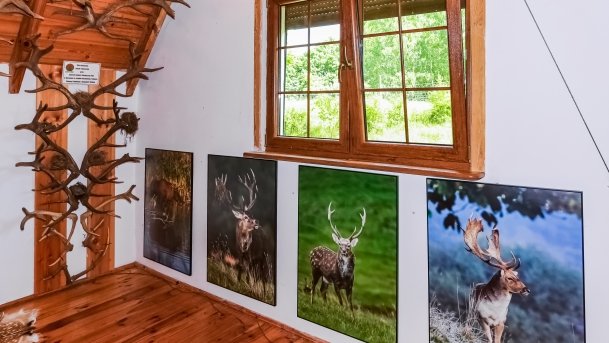 Stacja Badawcza Instytutu Parazytologii PAN - zdjęcie 9