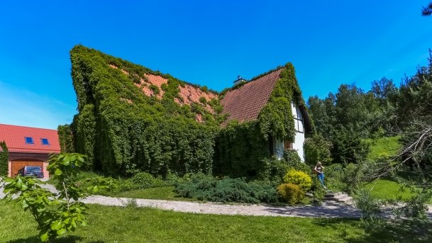 Stacja Badawcza Instytutu Parazytologii PAN - zdjęcie 6