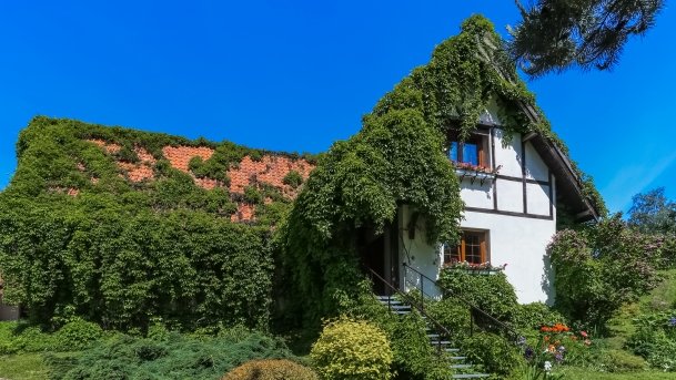 Stacja Badawcza Instytutu Parazytologii PAN - zdjęcie 5