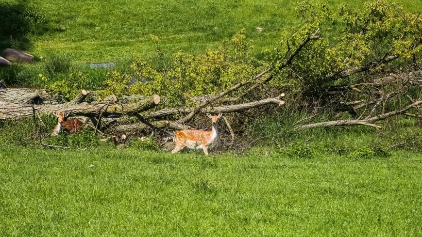 Stacja Badawcza Instytutu Parazytologii PAN - zdjęcie 1