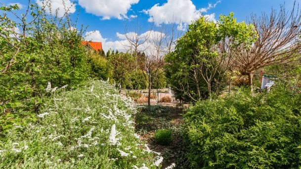 Ogrody Pokazowe i Motylarnia - zdjęcie 42