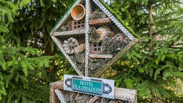 Ogrody Pokazowe i Motylarnia - zdjęcie 41