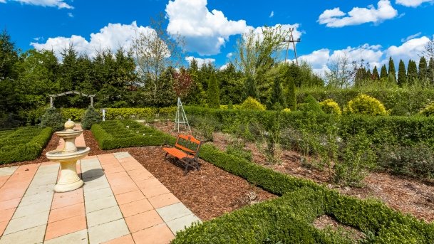 Ogrody Pokazowe i Motylarnia - zdjęcie 39