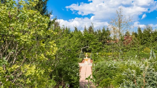 Ogrody Pokazowe i Motylarnia - zdjęcie 36