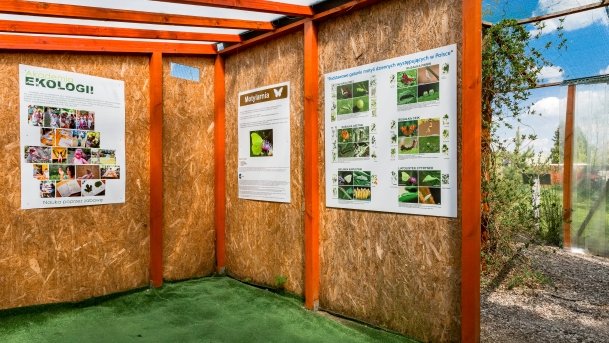 Ogrody Pokazowe i Motylarnia - zdjęcie 35