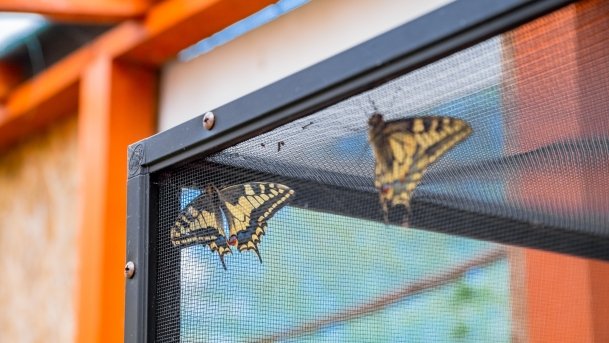 Ogrody Pokazowe i Motylarnia - zdjęcie 34