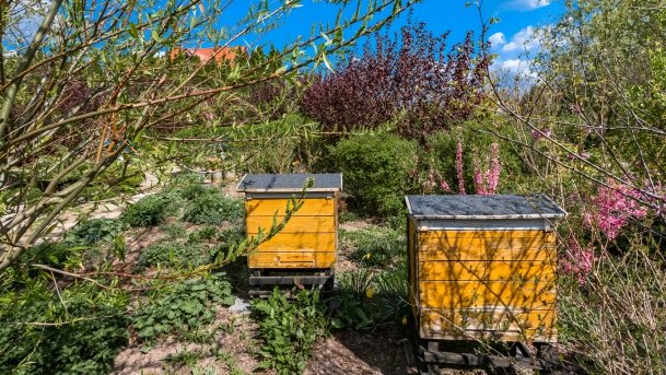 Ogrody Pokazowe i Motylarnia - zdjęcie 33