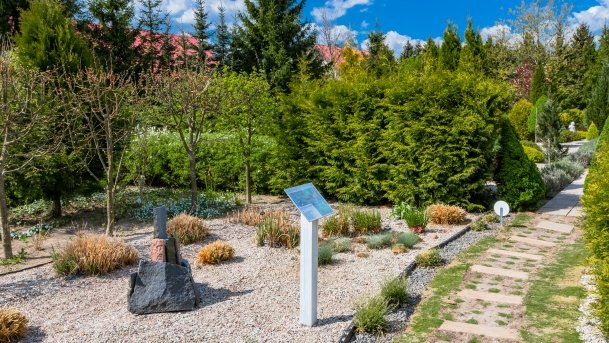 Ogrody Pokazowe i Motylarnia - zdjęcie 32