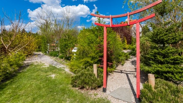 Ogrody Pokazowe i Motylarnia - zdjęcie 28