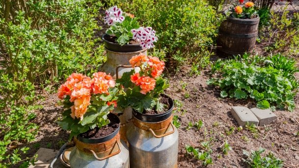 Ogrody Pokazowe i Motylarnia - zdjęcie 25