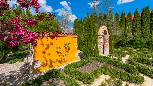 Ogrody Pokazowe i Motylarnia - zdjęcie 21