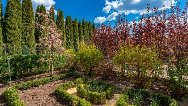 Ogrody Pokazowe i Motylarnia - zdjęcie 20