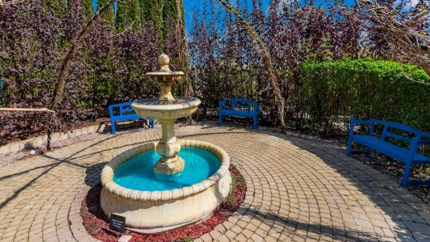 Ogrody Pokazowe i Motylarnia - zdjęcie 17