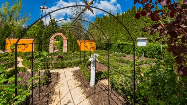 Ogrody Pokazowe i Motylarnia - zdjęcie 16
