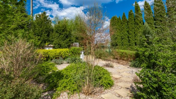 Ogrody Pokazowe i Motylarnia - zdjęcie 12