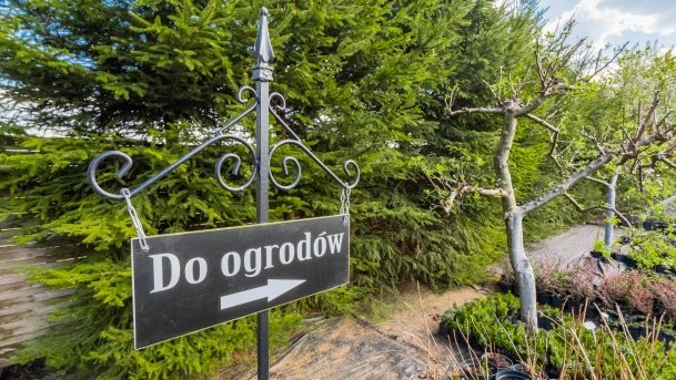 Ogrody Pokazowe i Motylarnia - zdjęcie 10