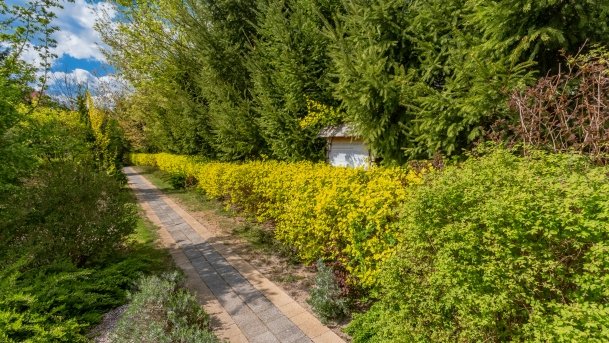 Ogrody Pokazowe i Motylarnia - zdjęcie 2