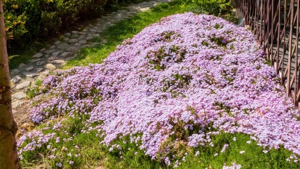 Ogrody Pokazowe i Motylarnia - zdjęcie 1