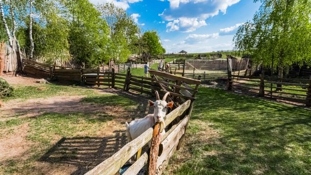 Mini Zoo w Polskiej Wsi - zdjęcie 58