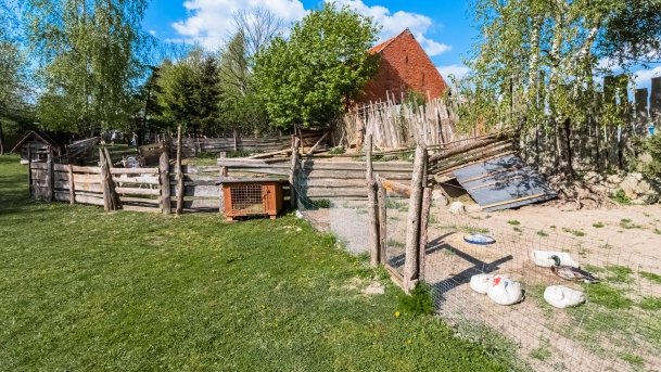 Mini Zoo w Polskiej Wsi - zdjęcie 57