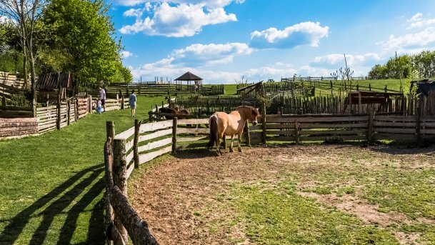 Mini Zoo w Polskiej Wsi - zdjęcie 56