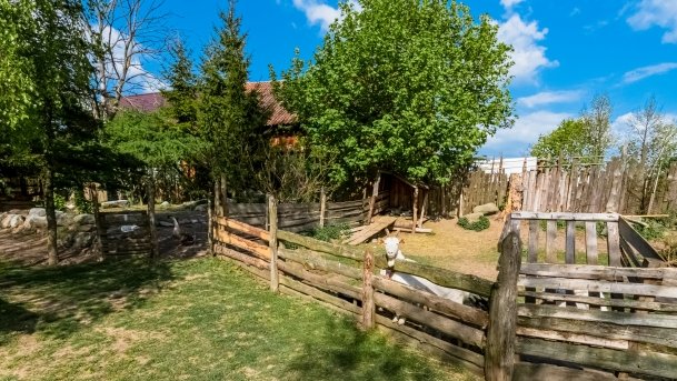 Mini Zoo w Polskiej Wsi - zdjęcie 55