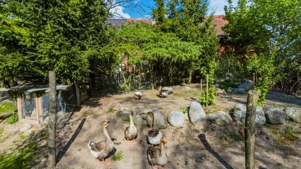 Mini Zoo w Polskiej Wsi - zdjęcie 52